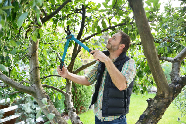 Best Pest Control for Lawns  in Huntington Station, NY